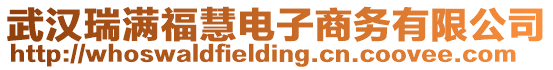 武漢瑞滿?；垭娮由虅?wù)有限公司