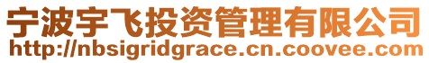 寧波宇飛投資管理有限公司