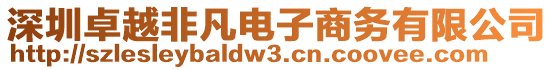 深圳卓越非凡電子商務(wù)有限公司