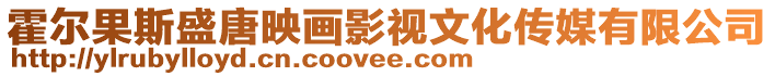 霍爾果斯盛唐映畫影視文化傳媒有限公司