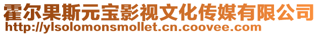 霍爾果斯元寶影視文化傳媒有限公司