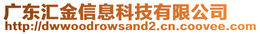 廣東匯金信息科技有限公司