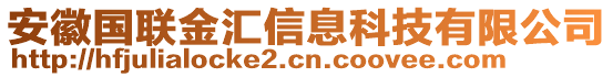 安徽國聯(lián)金匯信息科技有限公司