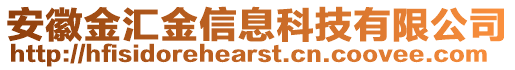 安徽金匯金信息科技有限公司