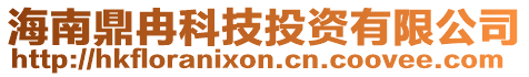 海南鼎冉科技投資有限公司