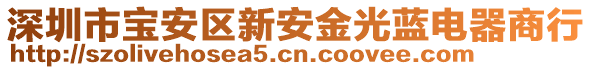 深圳市寶安區(qū)新安金光藍(lán)電器商行