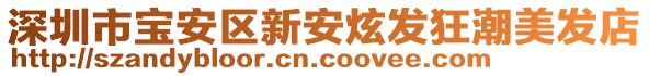 深圳市寶安區(qū)新安炫發(fā)狂潮美發(fā)店