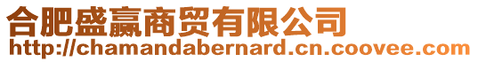 合肥盛贏商貿(mào)有限公司