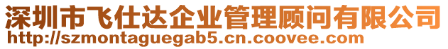 深圳市飛仕達企業管理顧問有限公司
