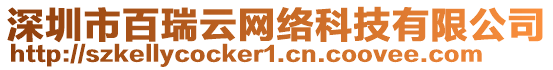 深圳市百瑞云網(wǎng)絡(luò)科技有限公司