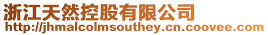 浙江天然控股有限公司