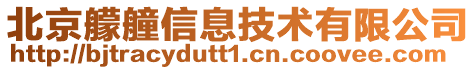 北京艨艟信息技術有限公司