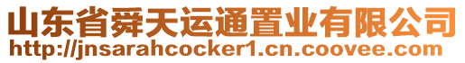 山東省舜天運通置業(yè)有限公司