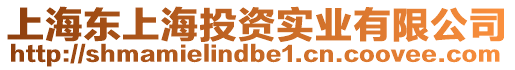 上海東上海投資實(shí)業(yè)有限公司