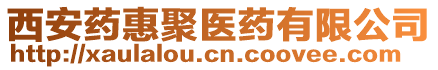 西安藥惠聚醫(yī)藥有限公司