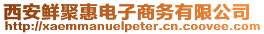 西安鮮聚惠電子商務(wù)有限公司