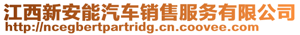 江西新安能汽車銷售服務(wù)有限公司
