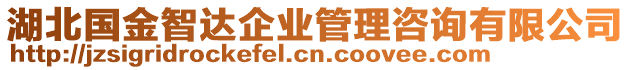 湖北國金智達企業管理咨詢有限公司