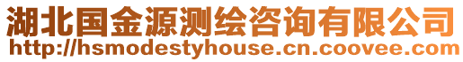 湖北國金源測繪咨詢有限公司