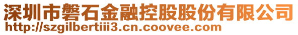 深圳市磐石金融控股股份有限公司