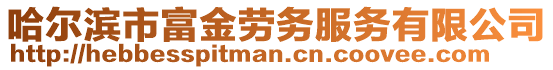 哈爾濱市富金勞務(wù)服務(wù)有限公司