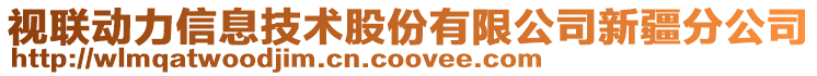 视联动力信息技术股份有限公司新疆分公司