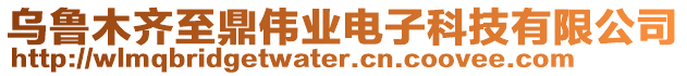 乌鲁木齐至鼎伟业电子科技有限公司