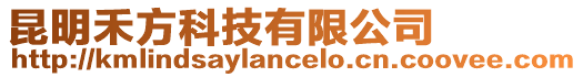 昆明禾方科技有限公司