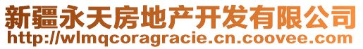 新疆永天房地产开发有限公司