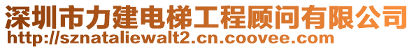 深圳市力建电梯工程顾问有限公司