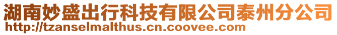 湖南妙盛出行科技有限公司泰州分公司