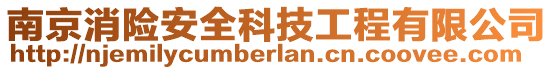 南京消險安全科技工程有限公司