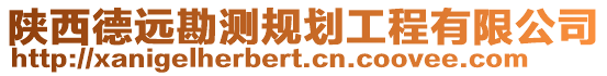 陜西德遠勘測規劃工程有限公司