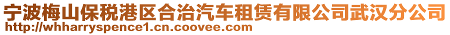 寧波梅山保稅港區(qū)合治汽車租賃有限公司武漢分公司