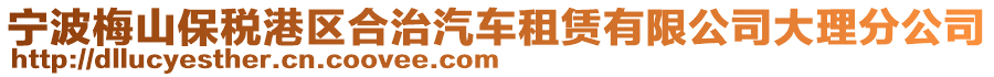 寧波梅山保稅港區(qū)合治汽車租賃有限公司大理分公司