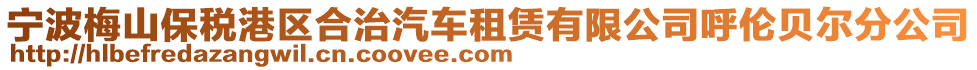 宁波梅山保税港区合治汽车租赁有限公司呼伦贝尔分公司