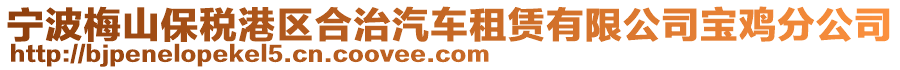 宁波梅山保税港区合治汽车租赁有限公司宝鸡分公司