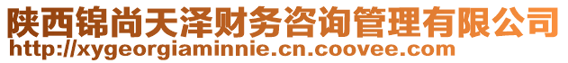 陕西锦尚天泽财务咨询管理有限公司