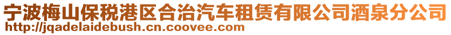 寧波梅山保稅港區(qū)合治汽車租賃有限公司酒泉分公司