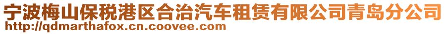 寧波梅山保稅港區(qū)合治汽車租賃有限公司青島分公司