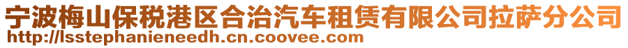 寧波梅山保稅港區(qū)合治汽車租賃有限公司拉薩分公司