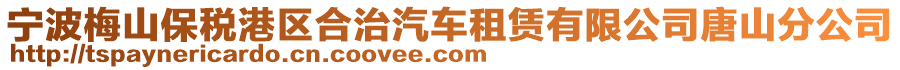 寧波梅山保稅港區(qū)合治汽車租賃有限公司唐山分公司