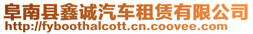 阜南縣鑫誠汽車租賃有限公司