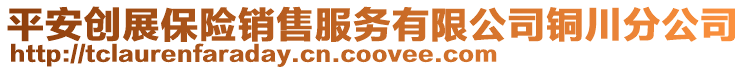 平安創展保險銷售服務有限公司銅川分公司