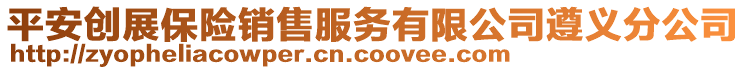 平安創(chuàng)展保險銷售服務(wù)有限公司遵義分公司