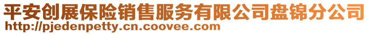 平安創(chuàng)展保險銷售服務(wù)有限公司盤錦分公司