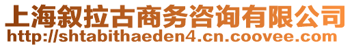 上海敘拉古商務咨詢有限公司