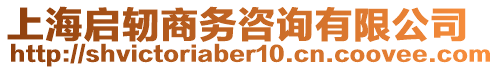 上海啟軔商務(wù)咨詢(xún)有限公司