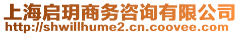 上海啟玥商務咨詢有限公司