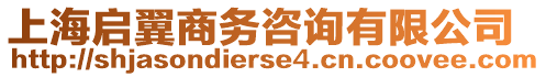 上海啟翼商務(wù)咨詢有限公司